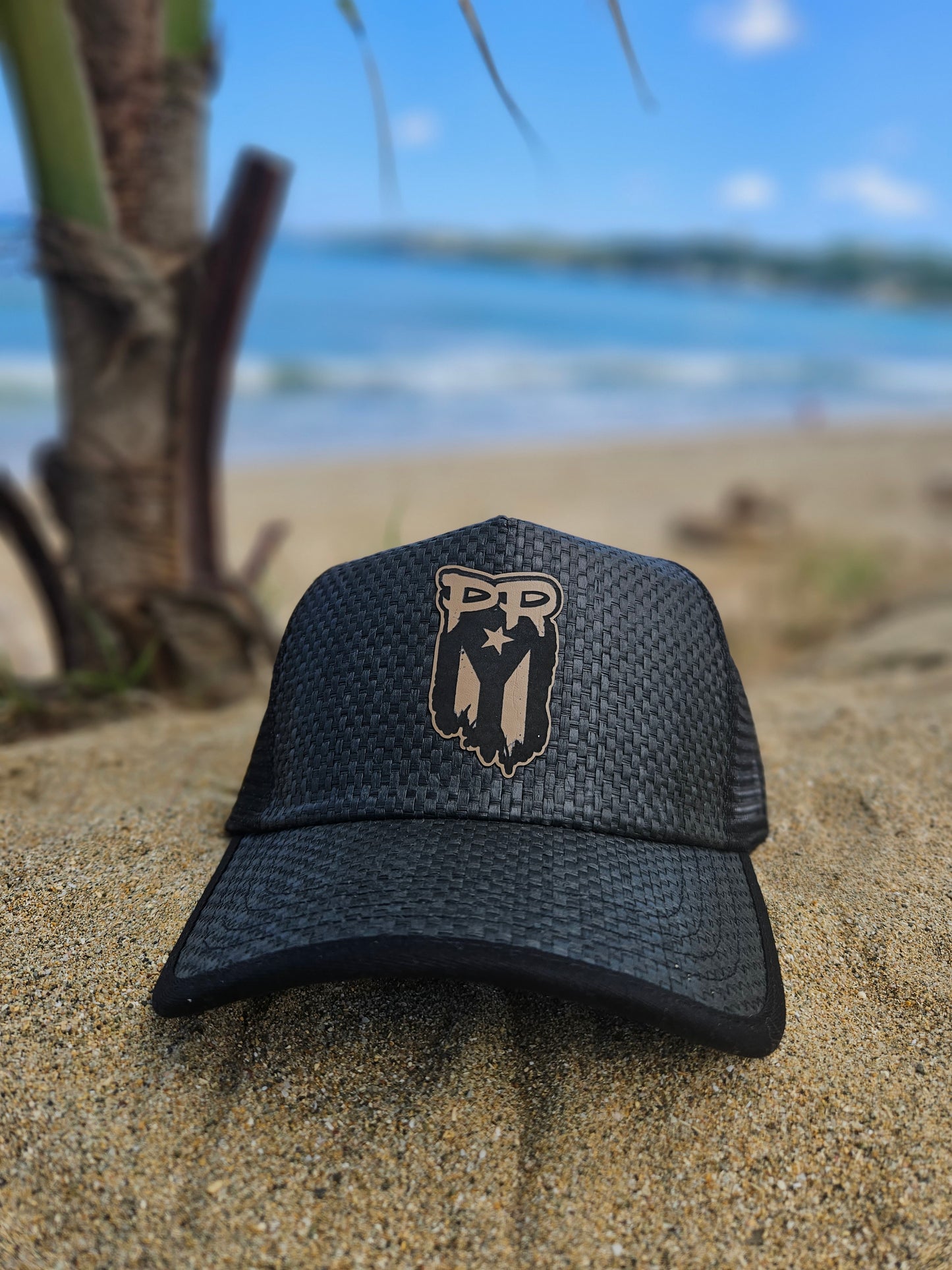 PR 🇵🇷