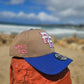 PR 🇵🇷