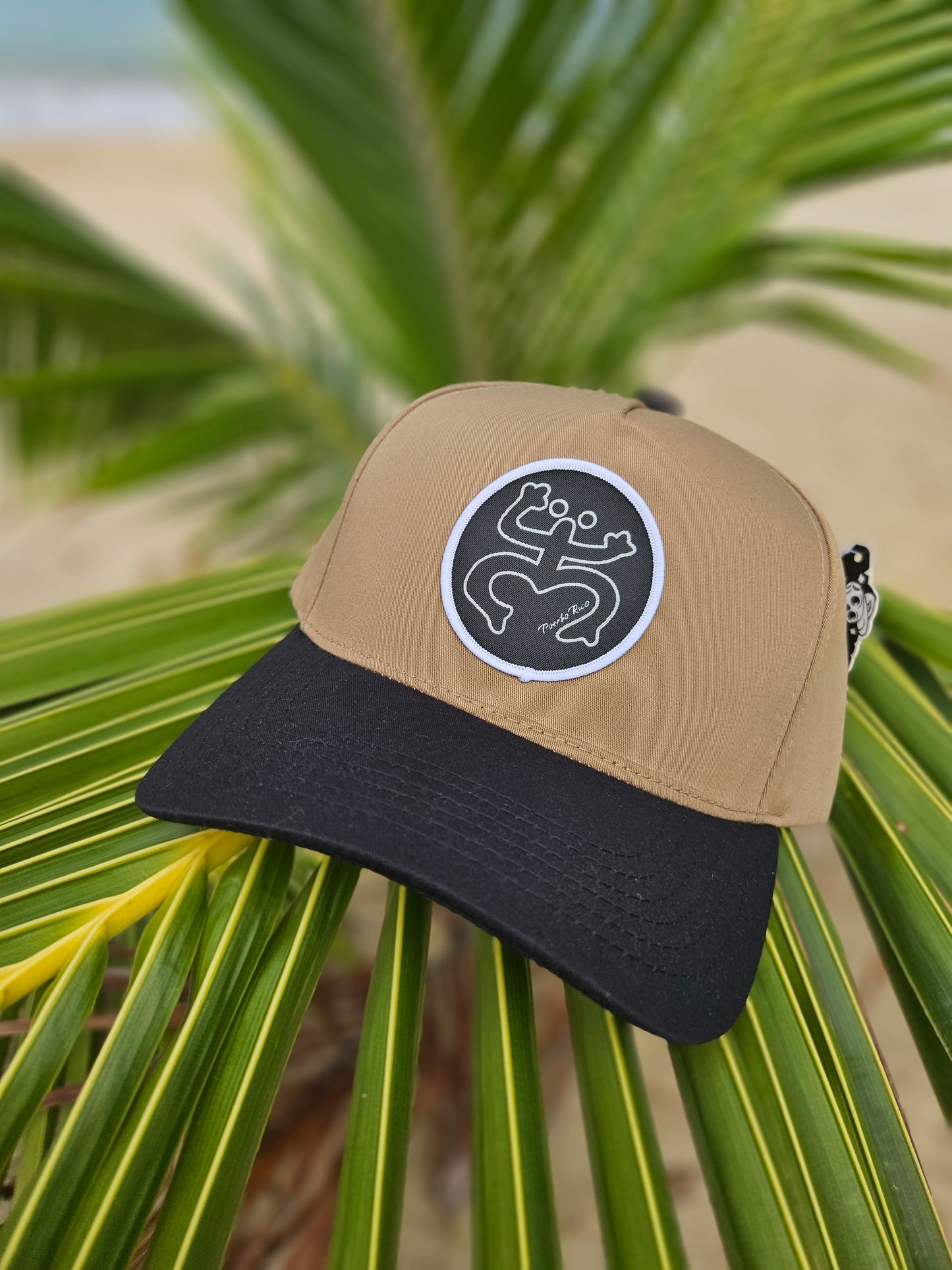 Coqui taino blanco y negro
